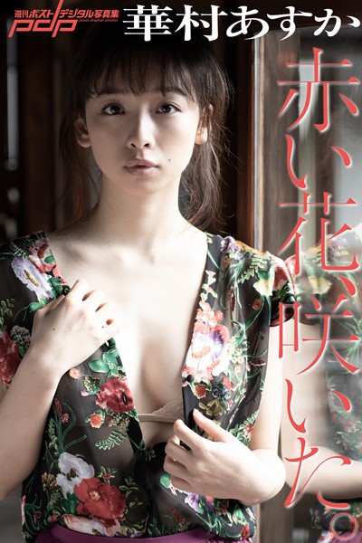 写真集 華村あすか 赤い花、咲いた。